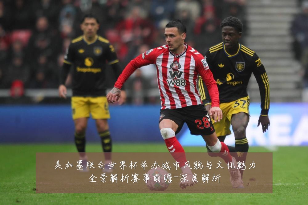 美加墨联合世界杯举办城市风貌与文化魅力全景解析赛事前瞻-深度解析